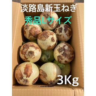 ○秀品Lサイズ3Kg ○淡路島新玉ねぎ　たまねぎ　玉葱(野菜)