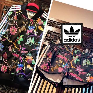 アディダス ジャージ セットアップ ジャケット パンツ アリス ディズニー 花柄