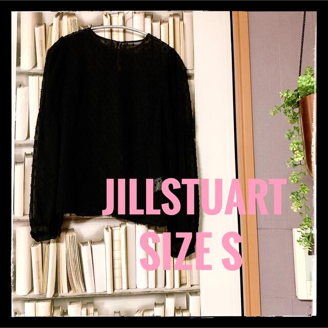 JILLSTUART(ジルスチュアート)の【匿名配送】JILLSTUART ブラウス　size S レディースのトップス(シャツ/ブラウス(長袖/七分))の商品写真