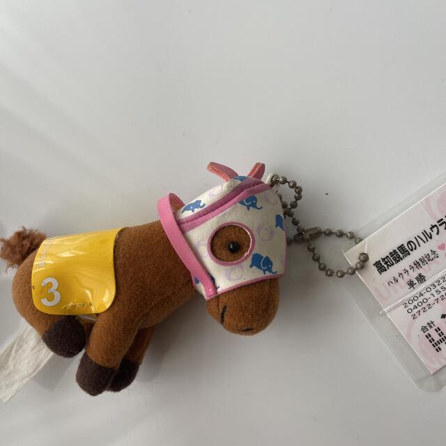 ハルウララ　ぬいぐるみ　高知競馬