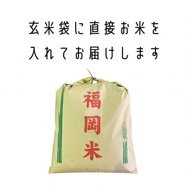 くず米 25kg 青米 小米 肥料 鳥の餌 飼料 玄米 安い 小動物 にわとり 食品/飲料/酒の食品(米/穀物)の商品写真