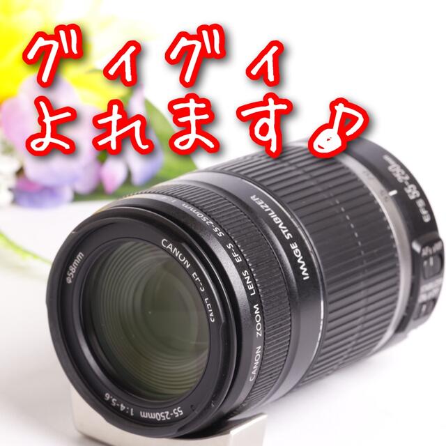 Canon - キャノン望遠レンズ⭐️EF-S 55-250mm手ブレ補正つき⭐️の