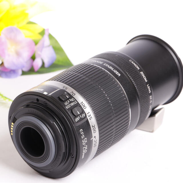 Canon - キャノン望遠レンズ⭐️EF-S 55-250mm手ブレ補正つき⭐️の