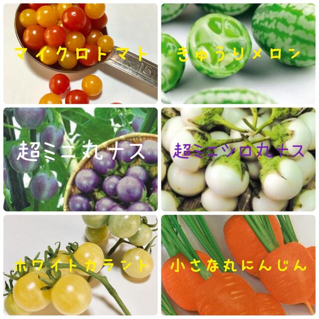 小さなお野菜の種セット⑥ ハンドメイドのフラワー/ガーデン(その他)の商品写真