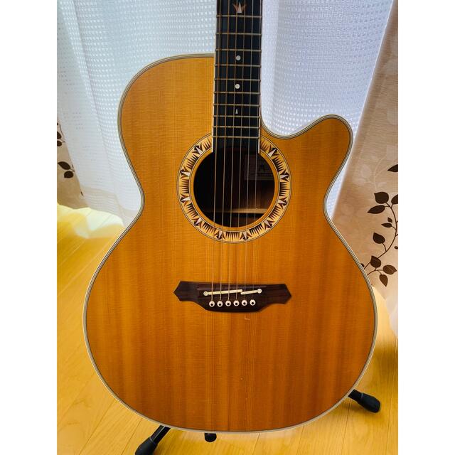 爆売りセール開催中!】 エレアコtakamine タカミネ Takamine 通称「青