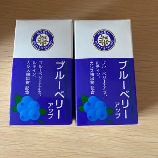 ナリス NARIS　ブルーベリー　アップ　容量：27g 2箱(青汁/ケール加工食品)