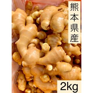 熊本県産　囲い生姜　2kg (野菜)