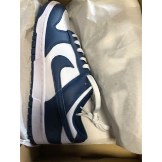 ナイキ(NIKE)のNIKE DUNK LOW Valerian ナイキ ダンク ロー バレリアン(スニーカー)