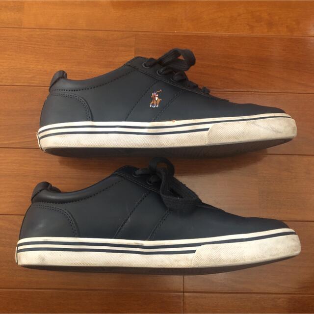 POLO RALPH LAUREN(ポロラルフローレン)のポロ　ラルフローレン／レザースニーカー　24.5cm レディースの靴/シューズ(スニーカー)の商品写真