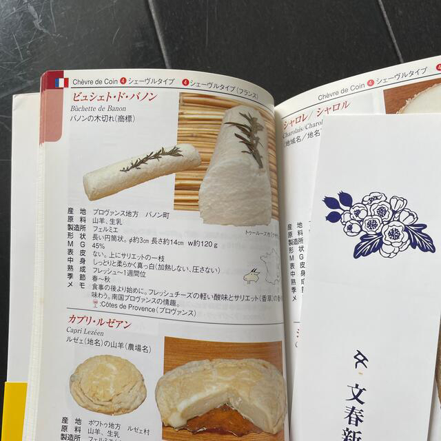 チ－ズ図鑑 エンタメ/ホビーの本(その他)の商品写真