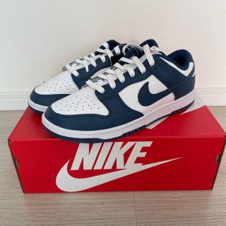 ナイキ(NIKE)のNike dunk low retro valerian blue 27.5(スニーカー)