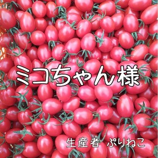 ミコちゃん様　アイコ9kg ミニトマト(野菜)