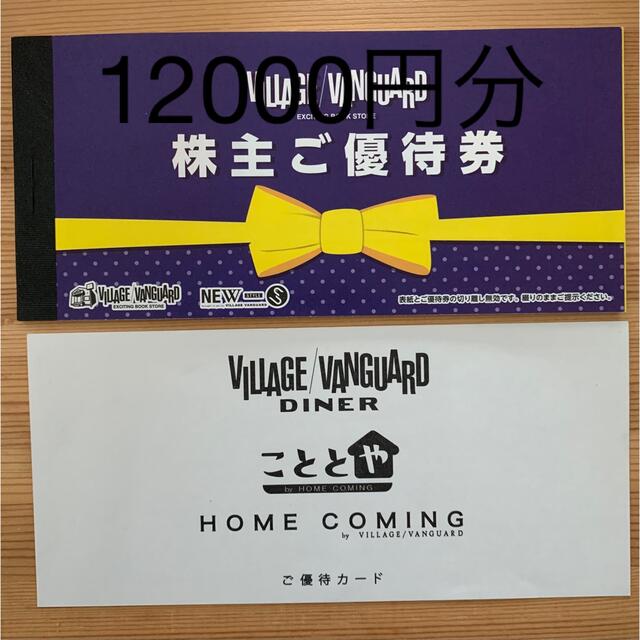 優待券/割引券ヴィレッジ ヴァンガード 株主優待 12000円