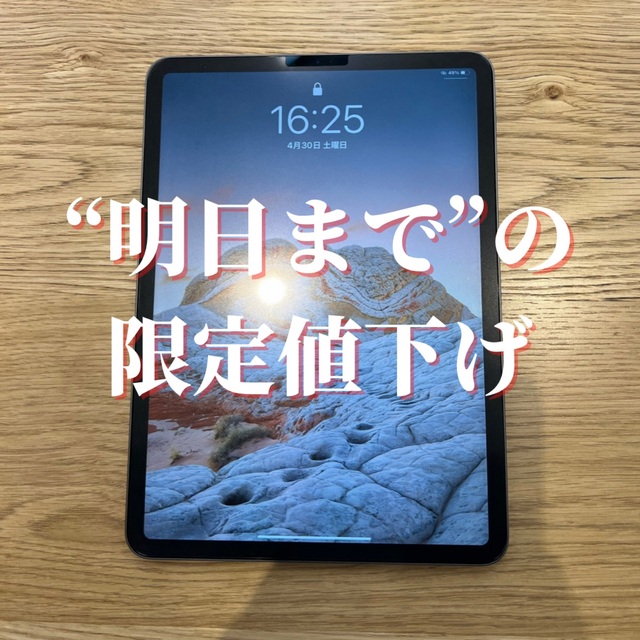 iPad Pro11 2018 wifi 256gb