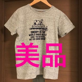 スヌーピー(SNOOPY)のスヌーピー　フロッキープリント　グレー　Tシャツ　Mサイズ　美品　横浜プラザ購入(Tシャツ(半袖/袖なし))