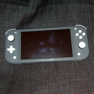 Nintendo Switch - switch lite グレー