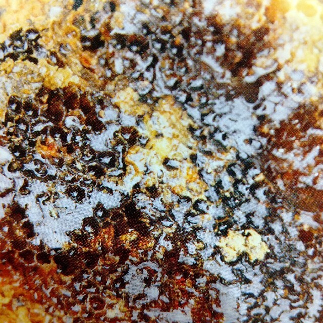[国産天然日本百花蜂蜜]鹿児島県南薩摩養蜂園蜂蜜1㎏１本非加熱 食品/飲料/酒の健康食品(その他)の商品写真
