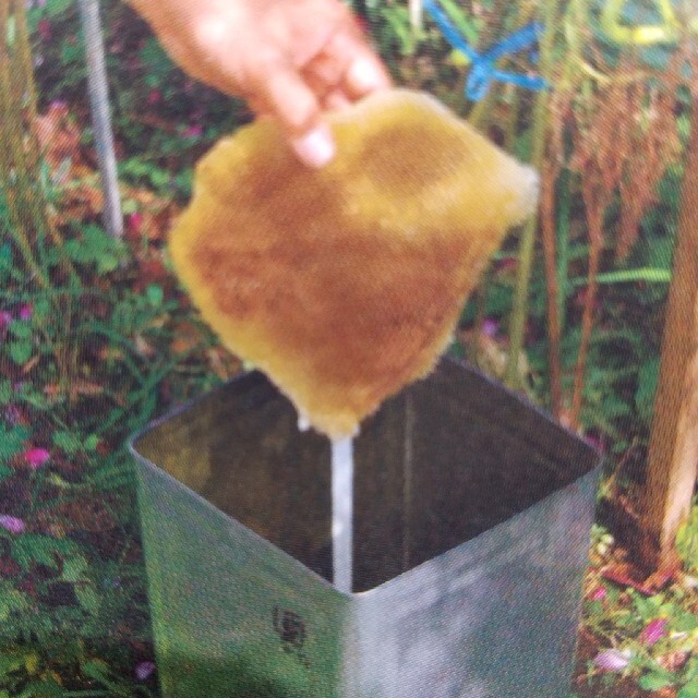 [国産天然日本百花蜂蜜]鹿児島県南薩摩養蜂園蜂蜜1㎏１本非加熱 食品/飲料/酒の健康食品(その他)の商品写真