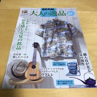 ショウガクカン(小学館)のBE-PAL  ビーパル　付録雑誌　2021初夏号　(趣味/スポーツ)