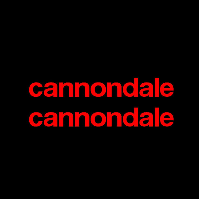 Cannondale(キャノンデール)のみ様分 キャノンデール cannondale カッティングステッカー  セット スポーツ/アウトドアの自転車(その他)の商品写真