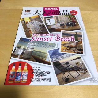 ショウガクカン(小学館)のBE-PAL  ビーパル　付録雑誌　2019初夏号　(趣味/スポーツ)