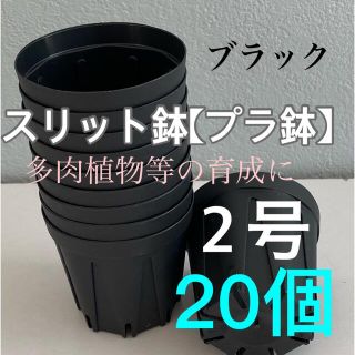 スリット鉢 プラ鉢直径6cm 2号 ブラック　20個(プランター)