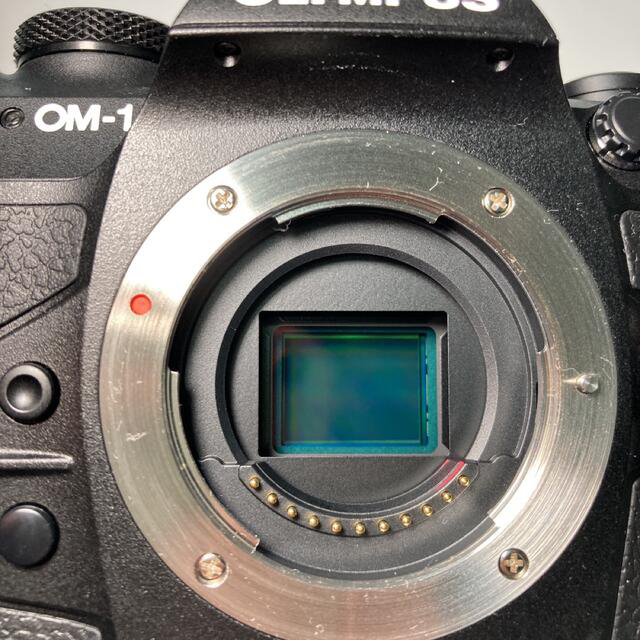 OLYMPUS(オリンパス)のOM SYSTEM OM-1 スマホ/家電/カメラのカメラ(ミラーレス一眼)の商品写真