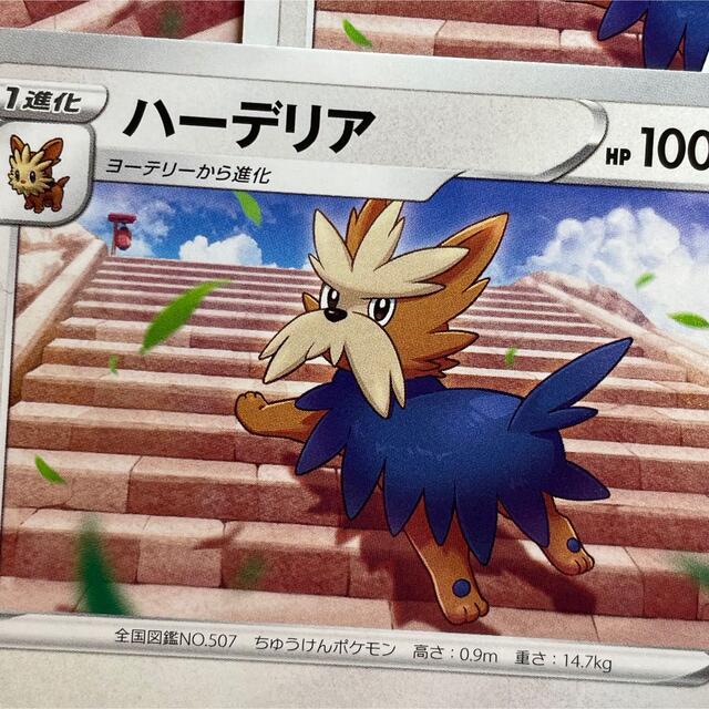 ポケモン ポケモンカード ハーデリア 9枚の通販 By しずく S Shop ポケモンならラクマ