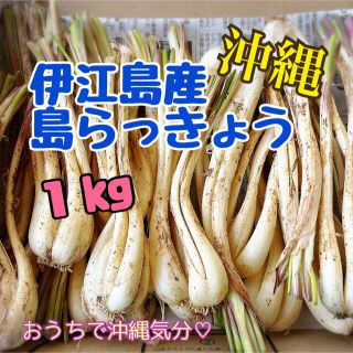 mii-san-専用　沖縄　伊江島産　島らっきょう１キロ(野菜)