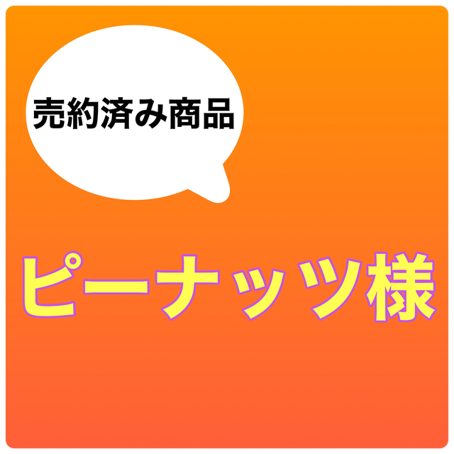 SNOOPY - 定価440円③スヌーピーSNOOPYミニメモ帳2冊セットPEANUTS