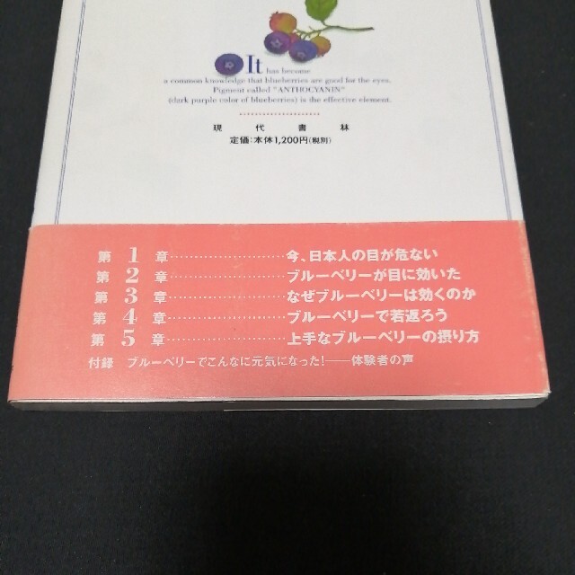 ブル－ベリ－は本当に目に効く！ 眼科医が実証！ エンタメ/ホビーの本(健康/医学)の商品写真