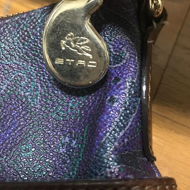 ETRO(エトロ)の✨ETRO✨　エトロ　ペイズリー  ショルダーバッグ　ユニセックス レディースのバッグ(ショルダーバッグ)の商品写真