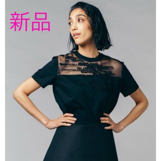 ダブルスタンダードクロージング(DOUBLE STANDARD CLOTHING)の【新品】DSCオーガンジードッキングTシャツ(Tシャツ(半袖/袖なし))