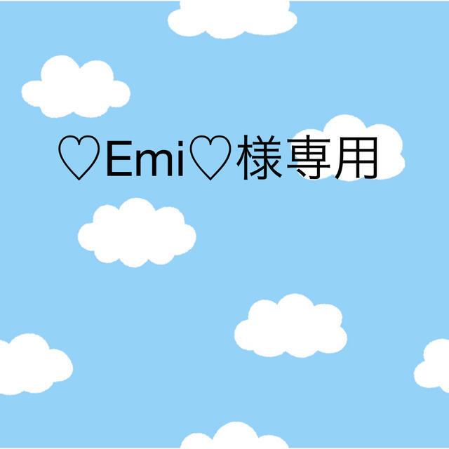 ♡Emi♡様専用　ランチョンマット ハンドメイドのキッズ/ベビー(外出用品)の商品写真