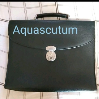 アクアスキュータム(AQUA SCUTUM)のAquascutum　アクアスキュータム　ビジネス　良品　レザーバッグ　グリーン(ビジネスバッグ)