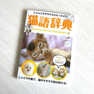 猫語辞典 にゃんこのキモチがわかっちゃう！(住まい/暮らし/子育て)