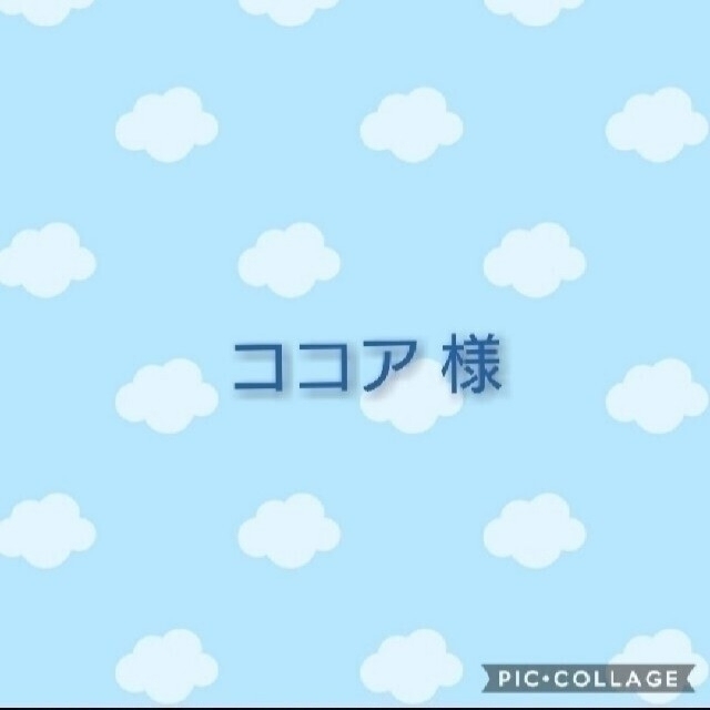 犬服ハンドメイド ココア様専用ページ を安く買う方法 その他 | bca.edu.gr