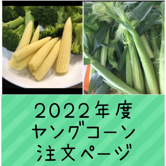 2022年度ヤングコーン注文ページ 食品/飲料/酒の食品(野菜)の商品写真