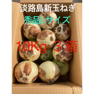 ⭕️秀品Lサイズ10Kg×3箱⭕️淡路島新玉ねぎ　たまねぎ　玉葱(野菜)