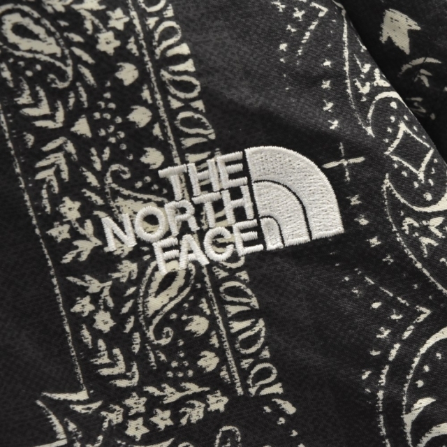 THE NORTH FACE(ザノースフェイス)のTHE NORTH FACE ザノースフェイス マウンテンパーカー メンズのジャケット/アウター(マウンテンパーカー)の商品写真