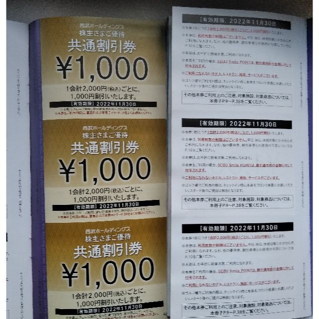 20枚セット 西武 株主優待 共通割引券 2022年11月30日迄