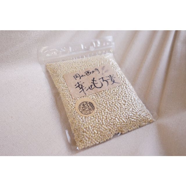 《生産農家直送》岡山西大寺幸せもち麦（キラリモチ精白麦）500ｇ 食品/飲料/酒の食品(米/穀物)の商品写真