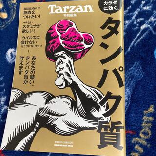 Tarzanターザン雑誌　Tarzanカラダに効く、タンパク質(趣味/スポーツ)