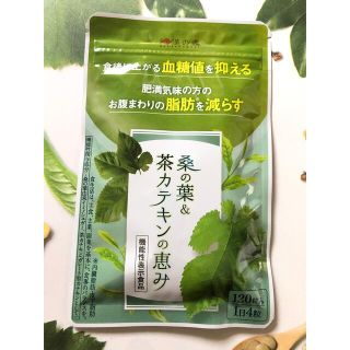 和漢の森 桑の葉 茶カテキンの恵み　120粒(ダイエット食品)