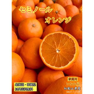 残り１つ‼️セミノール  オレンジ　みかん　家庭用　セール　早い者勝ち‼️(フルーツ)