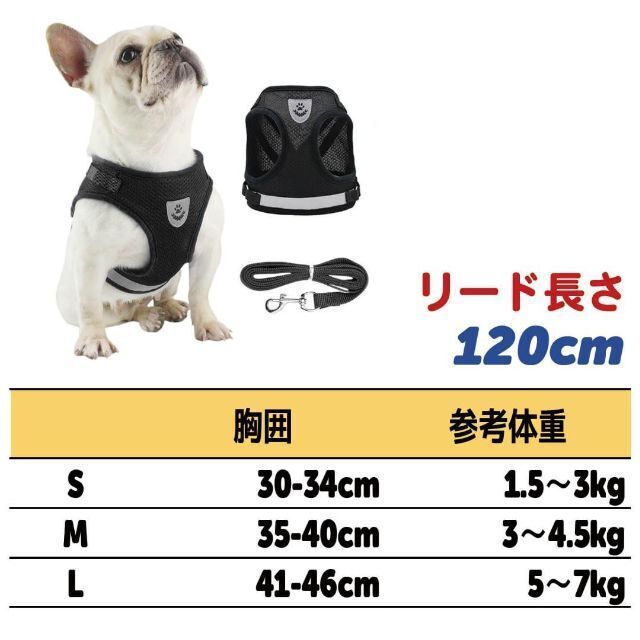 見事な 犬 猫 ハーネス リードセット Lサイズ 青