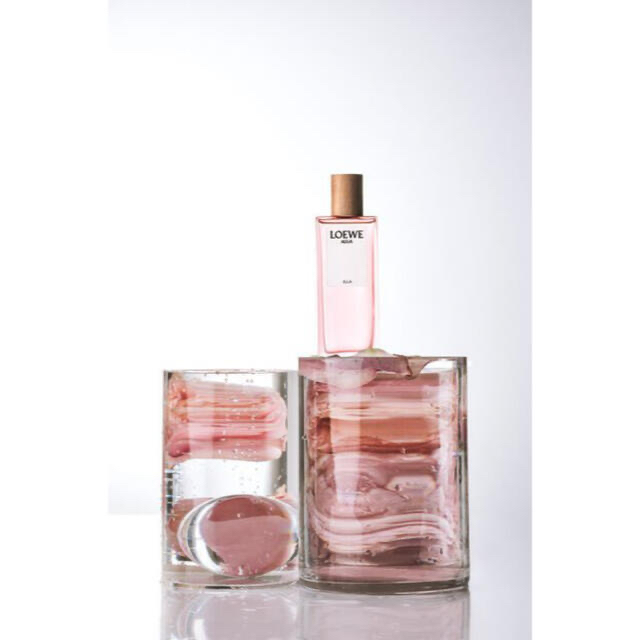 LOEWE - アグアエジャオードゥトワレ♡LOEWEの通販 by store|ロエベ