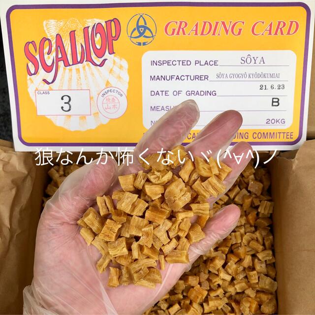 割れ品（B3）1kg（100g×10袋）ホタテ貝柱　北海道産乾燥帆立貝柱　貝柱