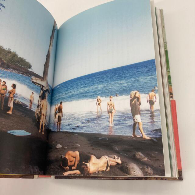 ヤナの森の生活 ハワイ島の大地に生きる エンタメ/ホビーの本(住まい/暮らし/子育て)の商品写真