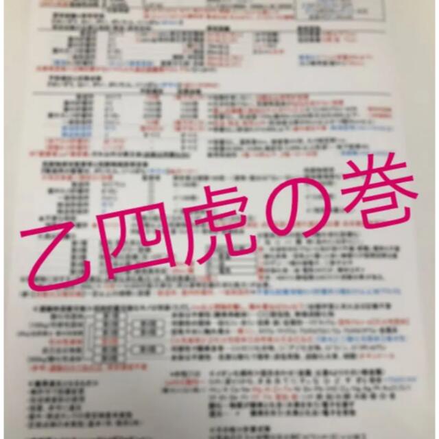 【元祖！】危険物取扱者試験乙種四類☆乙4虎の巻☆参考資料ノートまとめ☆乙四 エンタメ/ホビーの本(資格/検定)の商品写真